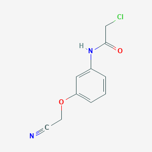 molecular formula C10H9ClN2O2 B7557490 2-chloro-N-[3-(cyanomethoxy)phenyl]acetamide 