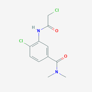 molecular formula C11H12Cl2N2O2 B7557517 4-chloro-3-[(2-chloroacetyl)amino]-N,N-dimethylbenzamide 