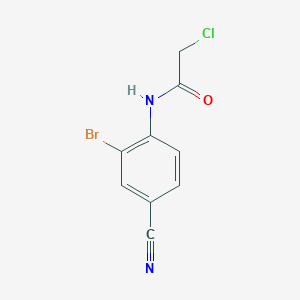 molecular formula C9H6BrClN2O B7557541 N-(2-bromo-4-cyanophenyl)-2-chloroacetamide 