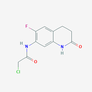 molecular formula C11H10ClFN2O2 B7557546 2-chloro-N-(6-fluoro-2-oxo-3,4-dihydro-1H-quinolin-7-yl)acetamide 