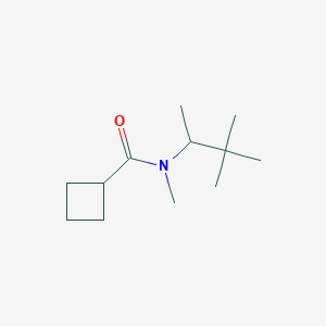 molecular formula C12H23NO B7558505 N-(3,3-dimethylbutan-2-yl)-N-methylcyclobutanecarboxamide 