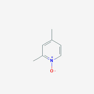 molecular formula C7H9NO B075586 2,4-二甲基吡啶 1-氧化物 CAS No. 1122-45-8