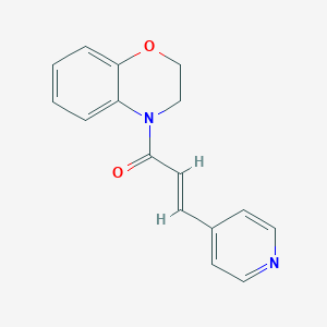 molecular formula C16H14N2O2 B7558661 (E)-1-(2,3-dihydro-1,4-benzoxazin-4-yl)-3-pyridin-4-ylprop-2-en-1-one 