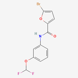 molecular formula C12H8BrF2NO3 B7559685 5-bromo-N-[3-(difluoromethoxy)phenyl]furan-2-carboxamide 