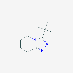 molecular formula C10H17N3 B7561097 3-Tert-butyl-5,6,7,8-tetrahydro-[1,2,4]triazolo[4,3-a]pyridine 