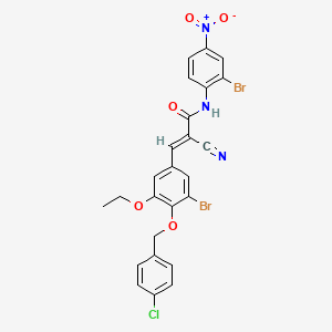 molecular formula C25H18Br2ClN3O5 B7561864 (E)-3-[3-bromo-4-[(4-chlorophenyl)methoxy]-5-ethoxyphenyl]-N-(2-bromo-4-nitrophenyl)-2-cyanoprop-2-enamide 