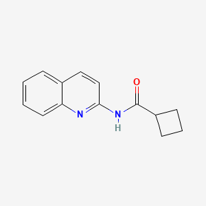 molecular formula C14H14N2O B7562063 N-quinolin-2-ylcyclobutanecarboxamide 