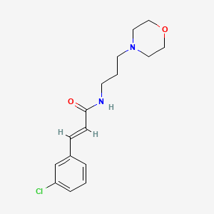 molecular formula C16H21ClN2O2 B7562147 (2E)-3-(3-chlorophenyl)-N-[3-(morpholin-4-yl)propyl]prop-2-enamide 