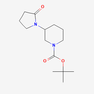 molecular formula C14H24N2O3 B7562664 Tert-butyl 3-(2-oxopyrrolidin-1-yl)piperidine-1-carboxylate 