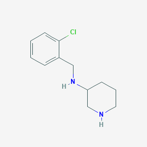 molecular formula C12H17ClN2 B7562691 N-[(2-chlorophenyl)methyl]piperidin-3-amine 