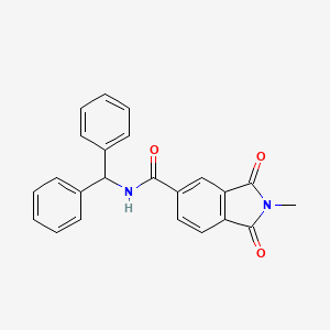 N-benzhydryl-2-methyl-1,3-dioxoisoindole-5-carboxamide