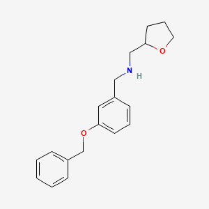 1-[3-(benzyloxy)phenyl]-N-(tetrahydrofuran-2-ylmethyl)methanamine