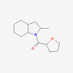 molecular formula C14H23NO2 B7563464 (2-Methyl-2,3,3a,4,5,6,7,7a-octahydroindol-1-yl)-(oxolan-2-yl)methanone 