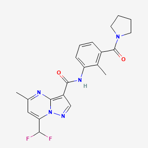 molecular formula C21H21F2N5O2 B7563960 7-(difluoromethyl)-5-methyl-N-[2-methyl-3-(pyrrolidine-1-carbonyl)phenyl]pyrazolo[1,5-a]pyrimidine-3-carboxamide 