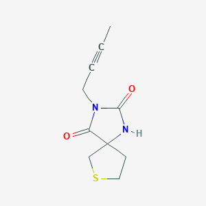 molecular formula C10H12N2O2S B7565204 3-But-2-ynyl-7-thia-1,3-diazaspiro[4.4]nonane-2,4-dione 