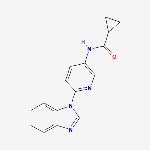 molecular formula C16H14N4O B7566184 N-[6-(benzimidazol-1-yl)pyridin-3-yl]cyclopropanecarboxamide 