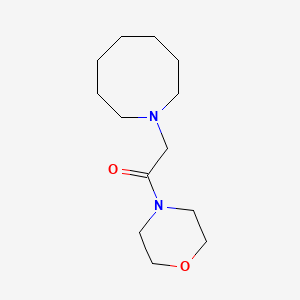 molecular formula C13H24N2O2 B7566279 2-(Azocan-1-yl)-1-morpholin-4-ylethanone 