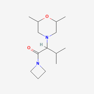 molecular formula C14H26N2O2 B7566632 1-(Azetidin-1-yl)-2-(2,6-dimethylmorpholin-4-yl)-3-methylbutan-1-one 