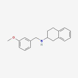 molecular formula C18H21NO B7567131 N-[(3-methoxyphenyl)methyl]-1,2,3,4-tetrahydronaphthalen-2-amine 