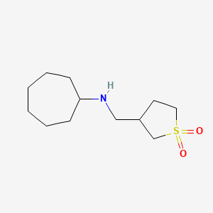 molecular formula C12H23NO2S B7567839 N-[(1,1-dioxothiolan-3-yl)methyl]cycloheptanamine 