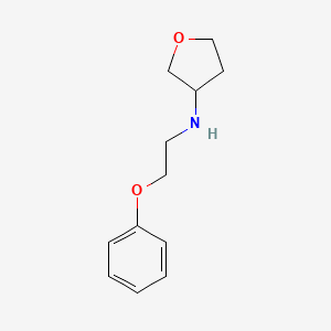 molecular formula C12H17NO2 B7570280 N-(2-phenoxyethyl)oxolan-3-amine 