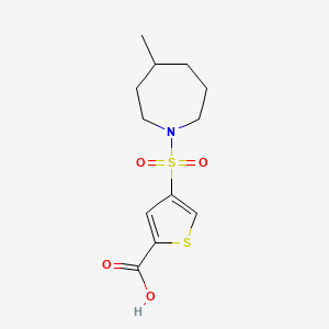 molecular formula C12H17NO4S2 B7570625 4-(4-Methylazepan-1-yl)sulfonylthiophene-2-carboxylic acid 