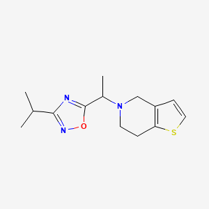 molecular formula C14H19N3OS B7571203 5-[1-(6,7-dihydro-4H-thieno[3,2-c]pyridin-5-yl)ethyl]-3-propan-2-yl-1,2,4-oxadiazole 