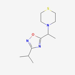 molecular formula C11H19N3OS B7571396 3-Propan-2-yl-5-(1-thiomorpholin-4-ylethyl)-1,2,4-oxadiazole 