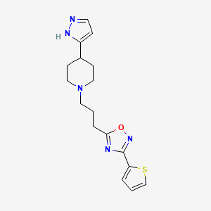 molecular formula C17H21N5OS B7572313 5-[3-[4-(1H-pyrazol-5-yl)piperidin-1-yl]propyl]-3-thiophen-2-yl-1,2,4-oxadiazole 