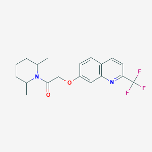 molecular formula C19H21F3N2O2 B7572656 1-(2,6-Dimethylpiperidin-1-yl)-2-[2-(trifluoromethyl)quinolin-7-yl]oxyethanone 