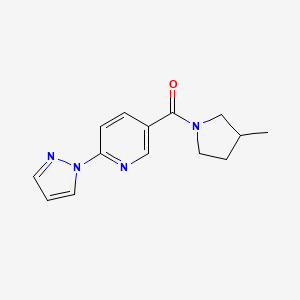 molecular formula C14H16N4O B7572999 (3-Methylpyrrolidin-1-yl)-(6-pyrazol-1-ylpyridin-3-yl)methanone 