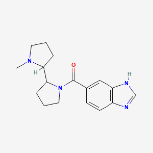 molecular formula C17H22N4O B7573358 3H-benzimidazol-5-yl-[2-(1-methylpyrrolidin-2-yl)pyrrolidin-1-yl]methanone 
