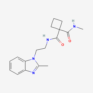 molecular formula C17H22N4O2 B7573393 1-N-methyl-1-N'-[2-(2-methylbenzimidazol-1-yl)ethyl]cyclobutane-1,1-dicarboxamide 