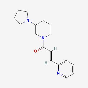 molecular formula C17H23N3O B7573641 (E)-3-pyridin-2-yl-1-(3-pyrrolidin-1-ylpiperidin-1-yl)prop-2-en-1-one 