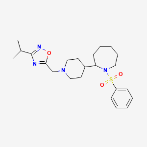 molecular formula C23H34N4O3S B7574128 5-[[4-[1-(Benzenesulfonyl)azepan-2-yl]piperidin-1-yl]methyl]-3-propan-2-yl-1,2,4-oxadiazole 