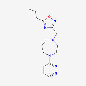 molecular formula C15H22N6O B7574235 5-Propyl-3-[(4-pyridazin-3-yl-1,4-diazepan-1-yl)methyl]-1,2,4-oxadiazole 