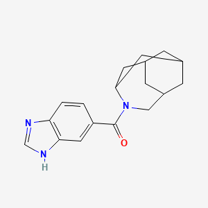 molecular formula C18H21N3O B7574480 4-azatricyclo[4.3.1.13,8]undecan-4-yl(3H-benzimidazol-5-yl)methanone 