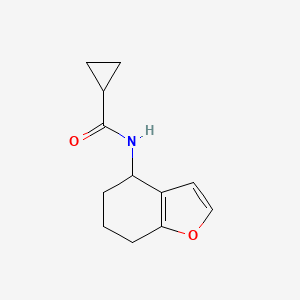 molecular formula C12H15NO2 B7574670 N-(4,5,6,7-tetrahydro-1-benzofuran-4-yl)cyclopropanecarboxamide 