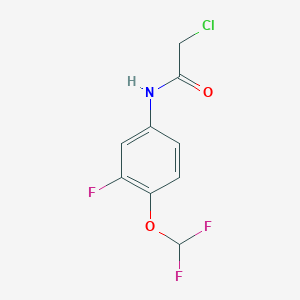 molecular formula C9H7ClF3NO2 B7574864 2-chloro-N-[4-(difluoromethoxy)-3-fluorophenyl]acetamide 