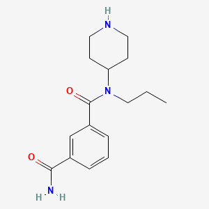molecular formula C16H23N3O2 B7575349 3-N-piperidin-4-yl-3-N-propylbenzene-1,3-dicarboxamide 
