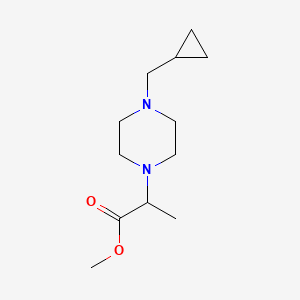 molecular formula C12H22N2O2 B7575769 Methyl 2-[4-(cyclopropylmethyl)piperazin-1-yl]propanoate 