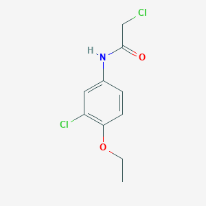 molecular formula C10H11Cl2NO2 B7576056 2-chloro-N-(3-chloro-4-ethoxyphenyl)acetamide 