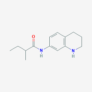 molecular formula C14H20N2O B7577677 2-methyl-N-(1,2,3,4-tetrahydroquinolin-7-yl)butanamide 