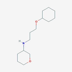 molecular formula C14H27NO2 B7578397 N-(3-cyclohexyloxypropyl)oxan-3-amine 