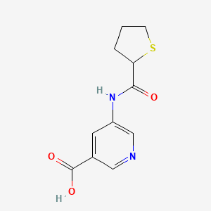 5-(Thiolane-2-carbonylamino)pyridine-3-carboxylic acid