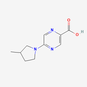 molecular formula C10H13N3O2 B7578561 5-(3-Methylpyrrolidin-1-yl)pyrazine-2-carboxylic acid 