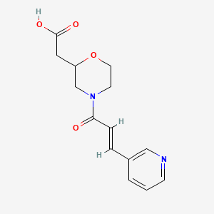 molecular formula C14H16N2O4 B7579667 2-[4-[(E)-3-pyridin-3-ylprop-2-enoyl]morpholin-2-yl]acetic acid 