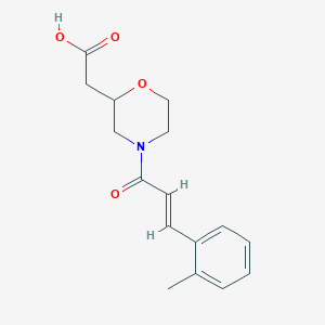 molecular formula C16H19NO4 B7579698 2-[4-[(E)-3-(2-methylphenyl)prop-2-enoyl]morpholin-2-yl]acetic acid 