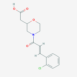 molecular formula C15H16ClNO4 B7579719 2-[4-[(E)-3-(2-chlorophenyl)prop-2-enoyl]morpholin-2-yl]acetic acid 