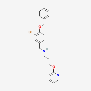 N-[(3-bromo-4-phenylmethoxyphenyl)methyl]-3-pyridin-2-yloxypropan-1-amine